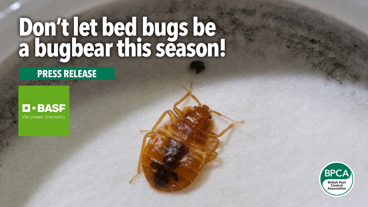 dont-let-bed-bugs-be-bugbears-basf-hero dont-let-bed-bugs-be-bugbears-basf-hero